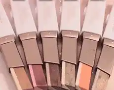 Application demonstration